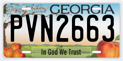 GA license plate PVN2663