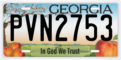 GA license plate PVN2753