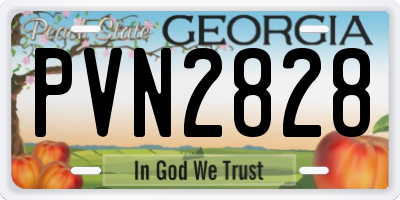 GA license plate PVN2828
