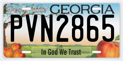 GA license plate PVN2865