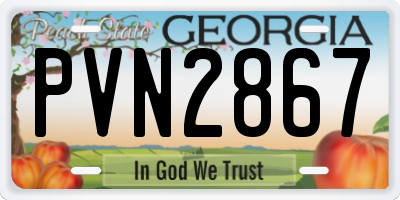 GA license plate PVN2867