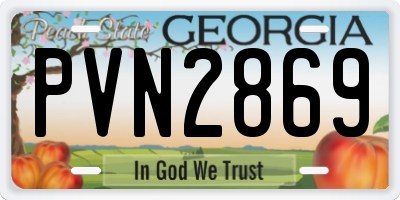 GA license plate PVN2869