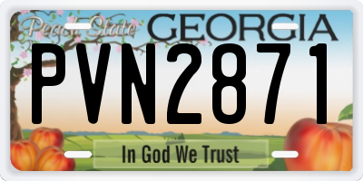 GA license plate PVN2871