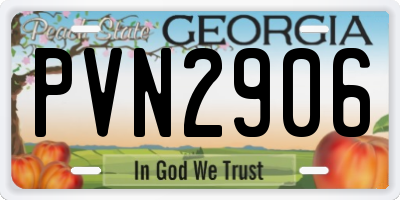 GA license plate PVN2906