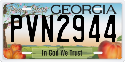 GA license plate PVN2944