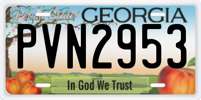 GA license plate PVN2953