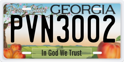 GA license plate PVN3002