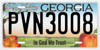 GA license plate PVN3008