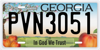 GA license plate PVN3051