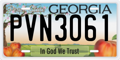 GA license plate PVN3061