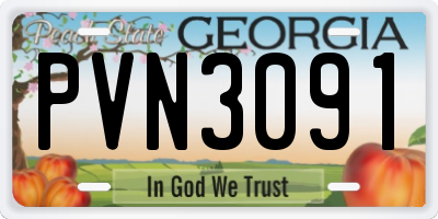 GA license plate PVN3091