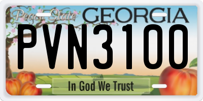 GA license plate PVN3100