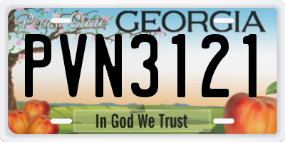 GA license plate PVN3121