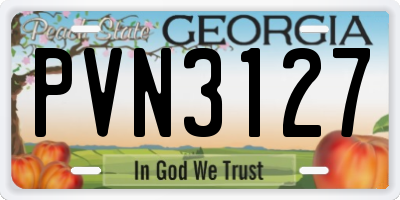 GA license plate PVN3127