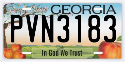 GA license plate PVN3183