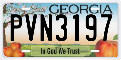 GA license plate PVN3197