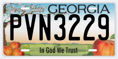 GA license plate PVN3229