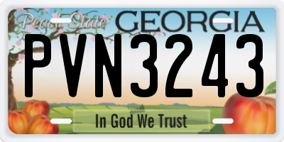 GA license plate PVN3243