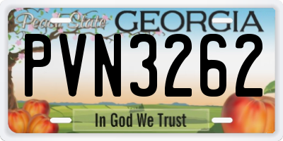 GA license plate PVN3262
