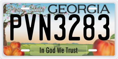 GA license plate PVN3283