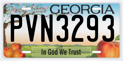 GA license plate PVN3293