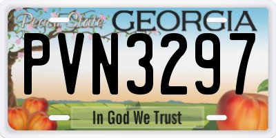GA license plate PVN3297