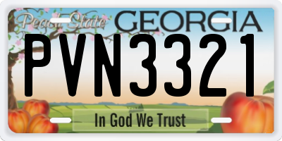 GA license plate PVN3321