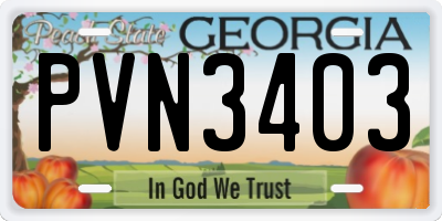 GA license plate PVN3403