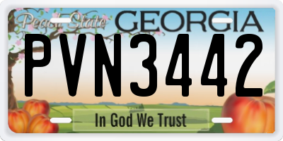 GA license plate PVN3442