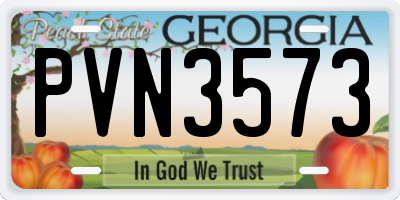 GA license plate PVN3573