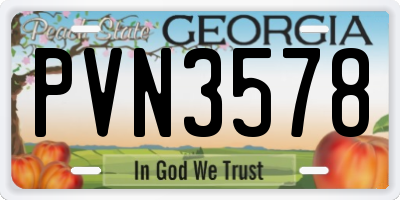 GA license plate PVN3578