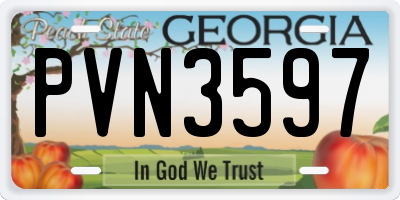 GA license plate PVN3597