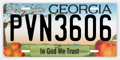 GA license plate PVN3606