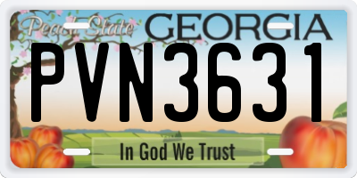 GA license plate PVN3631