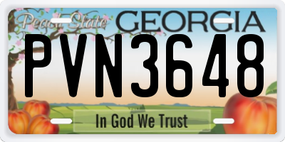 GA license plate PVN3648