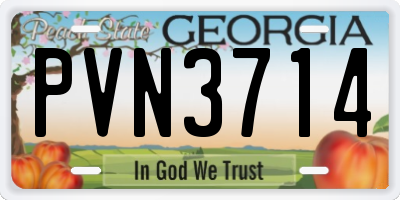 GA license plate PVN3714