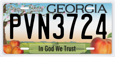 GA license plate PVN3724