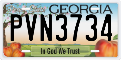 GA license plate PVN3734