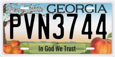 GA license plate PVN3744