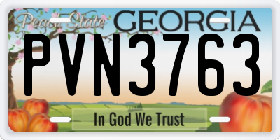 GA license plate PVN3763