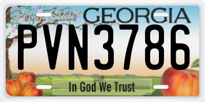 GA license plate PVN3786