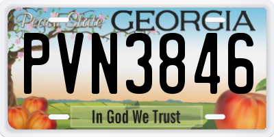 GA license plate PVN3846