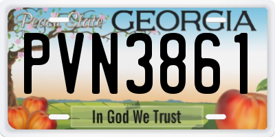 GA license plate PVN3861
