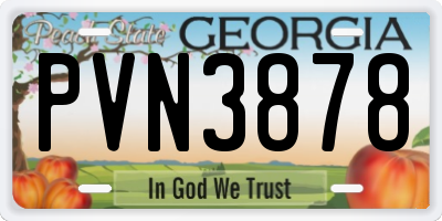 GA license plate PVN3878