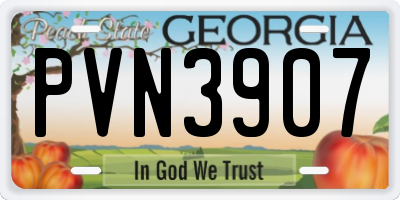 GA license plate PVN3907