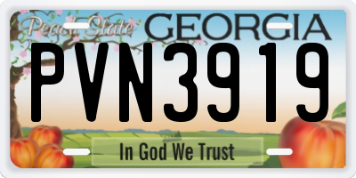 GA license plate PVN3919