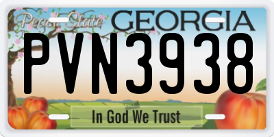 GA license plate PVN3938