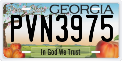 GA license plate PVN3975