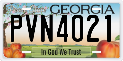 GA license plate PVN4021