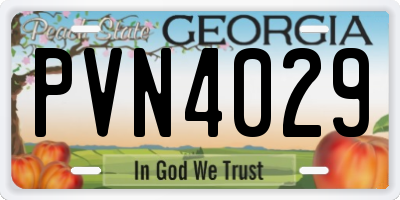 GA license plate PVN4029